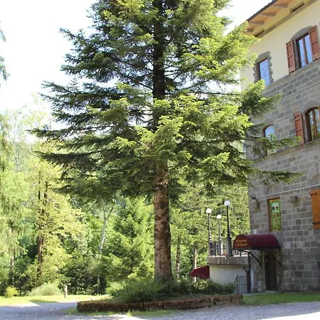 Basilewsky 3* Cutigliano